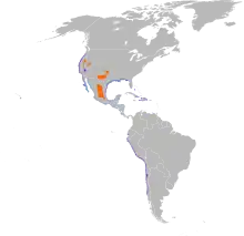 Map showing the distribution of the snowy plover in the Americas