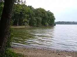 Photo of lake with trees