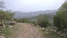 Image 19Iranian oak scrub in the Zagros Mountains (from Montane ecosystems)