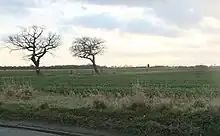 Flat field with two trees in the mid-foreground