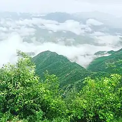 Cherat after the summer monsoon rains