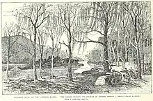 A cannon positioned amid trees and brush on the side of a river