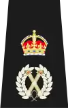 Chief Constable