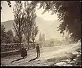 Willard, Utah with Poplars in the background