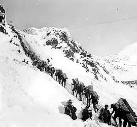 Prospectors ascending the Chilkoot Pass in a long line