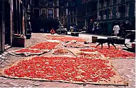 Chili peppers drying in Kathmandu, Nepal