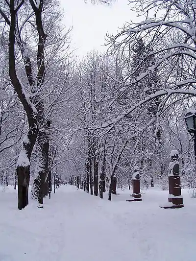 The Alley of Classics in winter