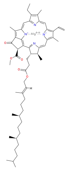 chlorophyll a