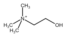 Choline cation skeletal formula