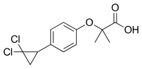 Ciprofibrate