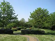 Clarefield Park in spring