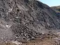 Cliff-fall of shale on the beach