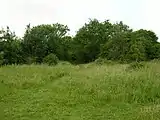 Clifton Backies Local Nature Reserve near the old aerodrome buildings