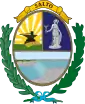 Coat of arms of Salto Department