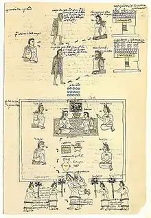 Folio 61 recto(top) 15-year-old boys beginning training in the military or the priesthood(bottom) A 15-year-old girl gets married