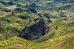 Image 38Agriculture terraces were (and are) common in the austere, high-elevation environment of the Andes. (from History of agriculture)