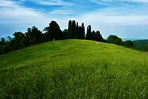 Hills around Bologna