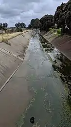 At Chestnut Ave, looking southeast, just above where Twelve Mile Creek joins from the right