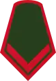 Cabo segundo(National Army of Colombia)