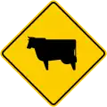 SP-49 Ox crossing