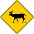 SP-49  Deer crossing