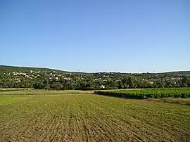 Combaillaux vineyards and wooded hills