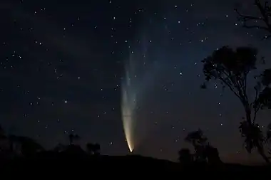 Comet McNaught as seen from Swift's Creek, Victoria on 23 January 2007