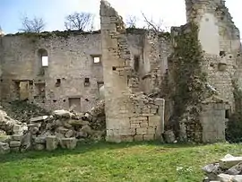 Ruins of the Templar commandery