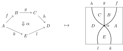 Duality between commutative diagrams and string diagrams.