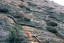 Concretions in the south wall