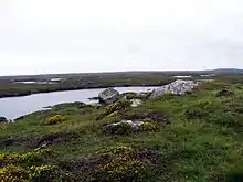 Image 1Blanket bog in Connemara, Ireland (from Bog)