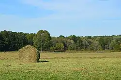 Hay field on Pennsylvania Route 258