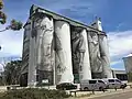 Art on silos at Coonalpyn