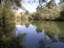 Image 18A pensive Cooplacurripa River, NSW (from River ecosystem)