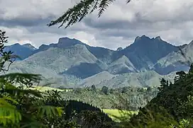 Coromandel Range, including the Pinnacles