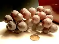 Coronation grapes