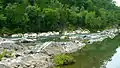 Sharp rocks jut out from a river in a lush forest