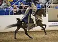 Mounted Native Costume