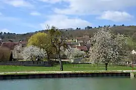 A general view of Courcelles-lès-Montbard