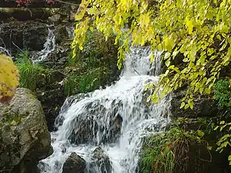 Cox Hollow falls at Cox Hollow Dam