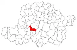 Covăsânț within Arad County