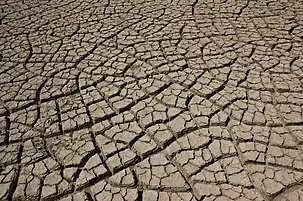 Drying inelastic mud in the Rann of Kutch with mainly 90° cracks