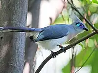 At San Diego Zoo