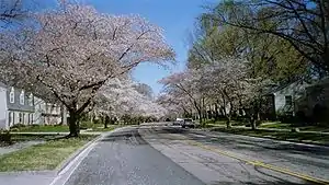 Crofton Parkway