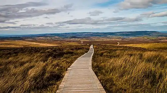 Boardwalk section of "Stairway to Heaven"