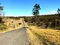 Shale Hills with a road traversing through it