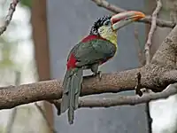 At San Diego Zoo, US