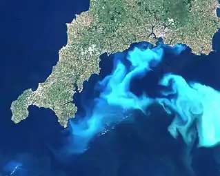 Planktonic algae bloom of coccolithophores off the southern coast of England