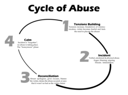 The four phases of the Cycle of Abuse in some ongoing domestic violence situations