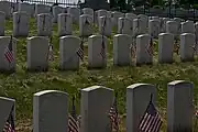 The "Old Field" with Civil War graves.